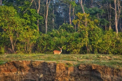 Discover Nepal: Kathmandu Pokhara Chitwan Lumbini Tour Booking